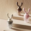 پستانک میوه خوری هی اورشی HEORSHE